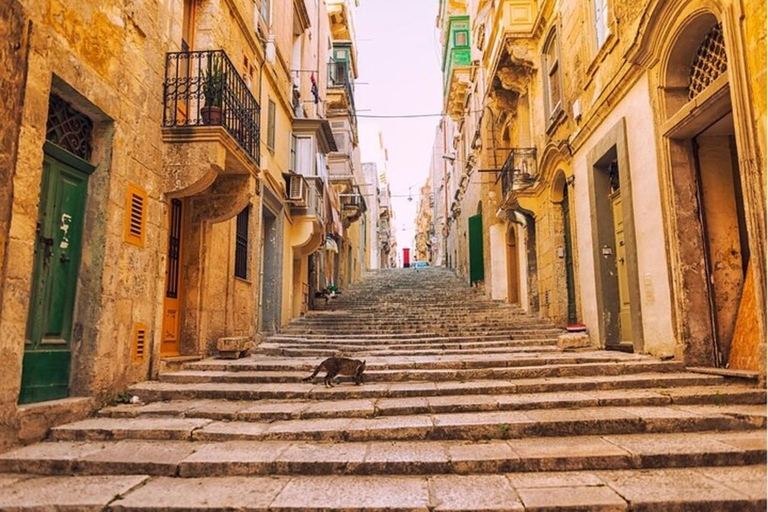 Valletta : Rundvandring bland sevärdheter som måste sesValletta: 2 timmars privat stadsvandring