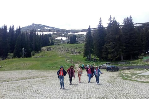 Sofia: Vitosha Mountain, Boyana Church & History Museum