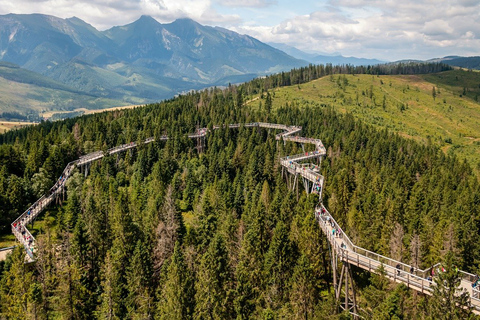 From Krakow: Slovakia Treetop Walk, Zakopane & Thermal Baths Shared Tour