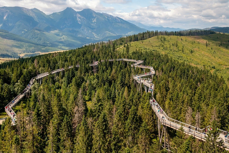 From Krakow: Slovakia Treetop Walk, Zakopane & Thermal Baths Shared Tour