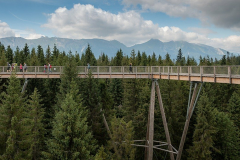 From Krakow: Slovakia Treetop Walk, Zakopane & Thermal Baths Shared Tour