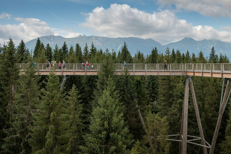 From Krakow: Slovakia Treetop Walk, Zakopane & Thermal Baths Shared Tour