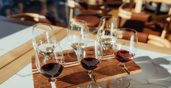 Porto: Douro-Weinprobe im Verkostungsraum
