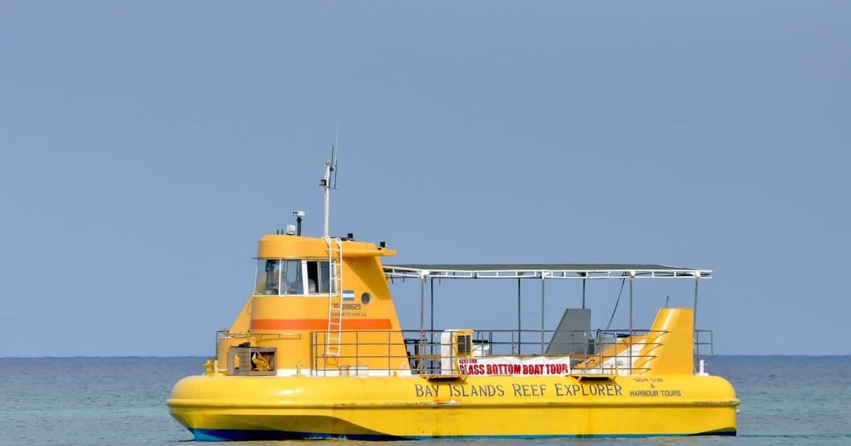 Roatán: Glass Bottom Boat, with Monkey & Sloth Park | GetYourGuide