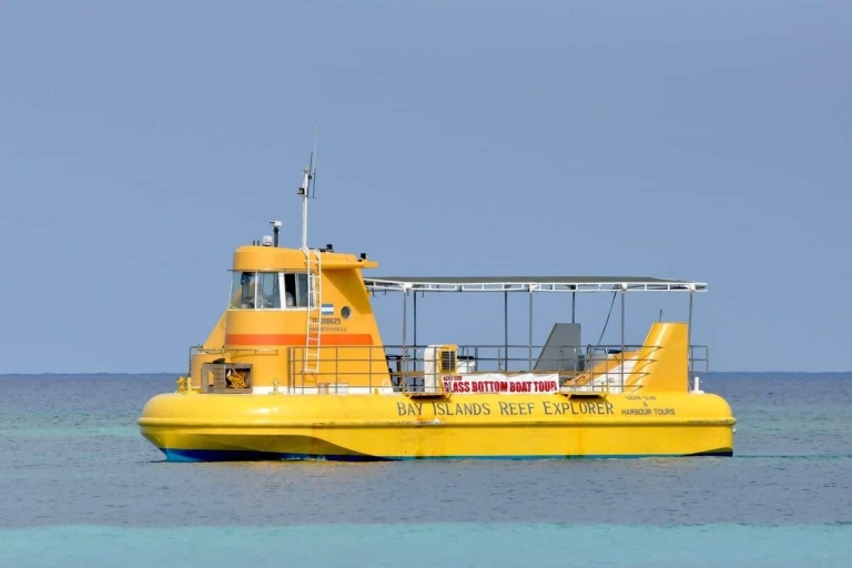 Roatán: tour en bote con fondo de cristal, santuario de perezosos y chocolateRecogida en crucero