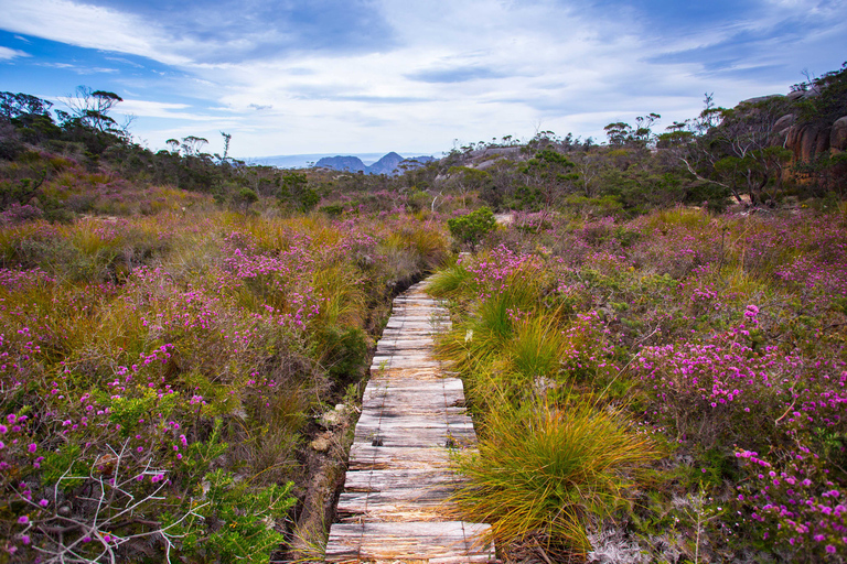 From Hobart: 4-Day Guided Freycinet National Park Walk