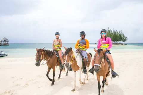 Roatan Horseback Riding, Zip Line Monkey & Sloth and Snorkel