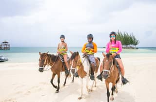 Roatan Reiten, Zip Line Affe & Faultier und Schnorcheln