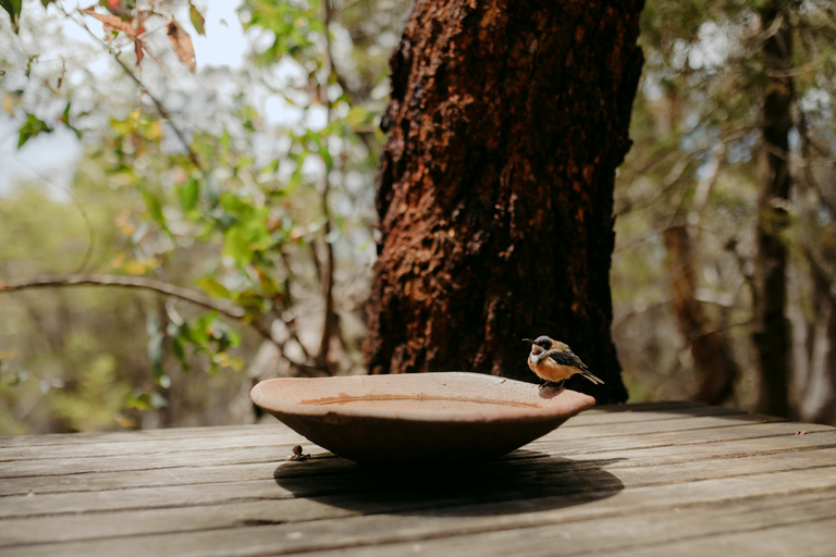 From Hobart: 4-Day Guided Freycinet National Park Walk