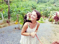 Roatan Equitazione, Scimmia con Zip Line e Sloth e Snorkel - Hizvo