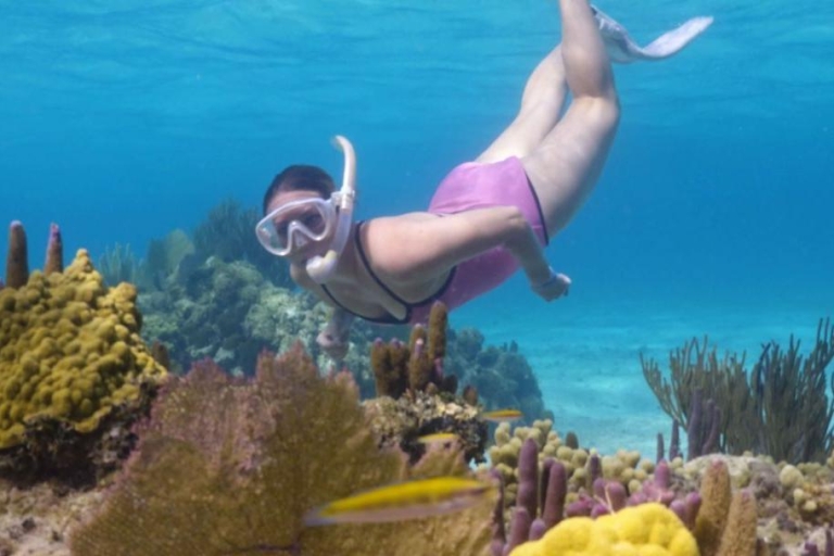 Roatán: Adventure and Nature Discovery Combo Tour Hotel Pickup