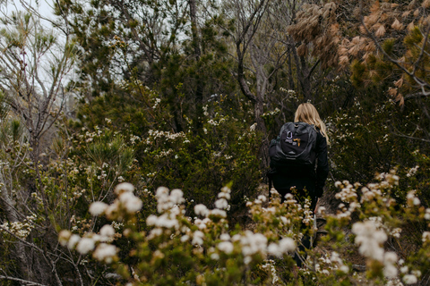 From Hobart: 4-Day Guided Freycinet National Park Walk