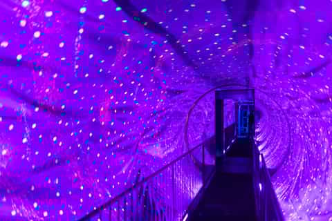Amsterdam's Weirdest Museum: Believe It or Not!