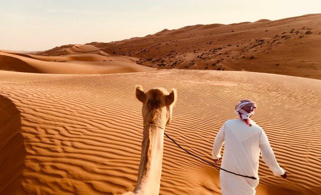 Dubai: premium duin- en kameelsafari & barbecue in Al Khayma
