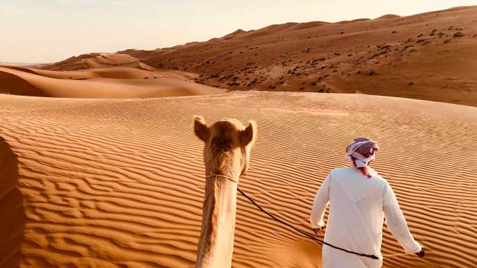 Dubái: safari prémium en dunas rojas con camellos y barbacoa