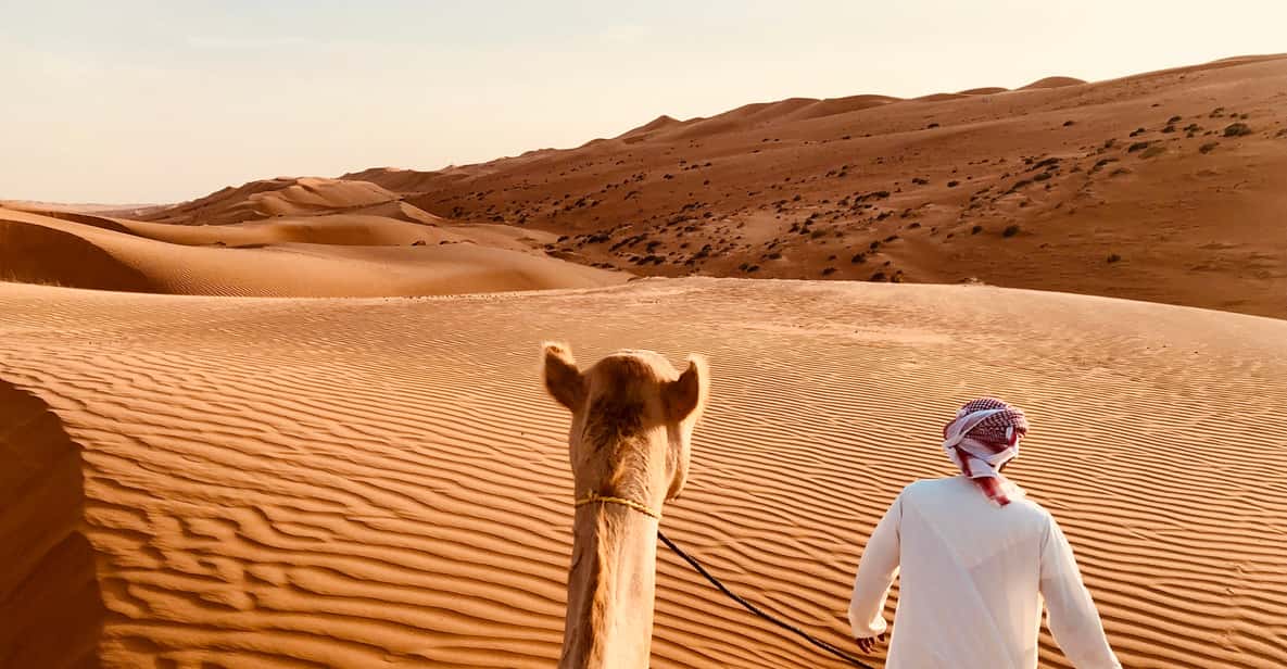 Dubai: Premium-Dünen-Kamelsafari & Barbecue in Al Khayma