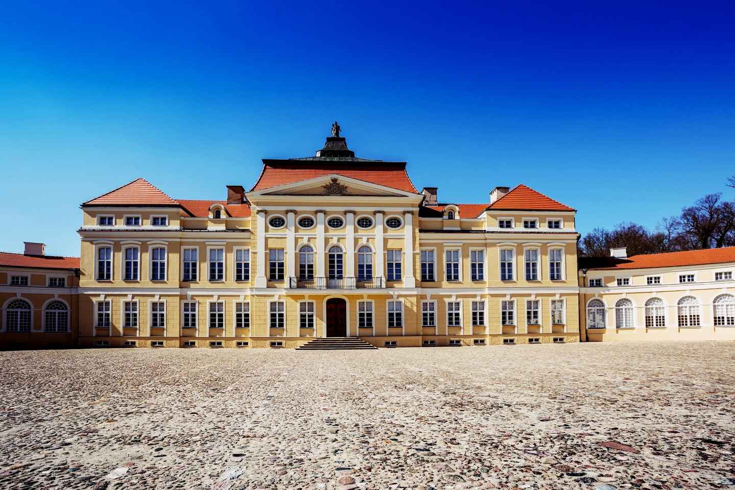 Kornik Castle and Rogalin Palace Half-Day Private Tour