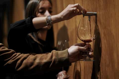 Langhe: Barolo Winery Tour and Wine Tasting