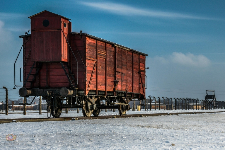 Desde Cracovia: Excursión Auschwitz-Birkenau con transporteVisita autoguiada con guía en inglés