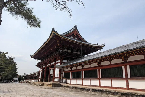 Osaka: Discovering Nara Timeless Grace Guided Tour