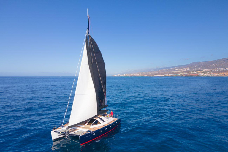 Costa Adeje Exclusive Cat 3 hrs. Trip Whales and Dolphins