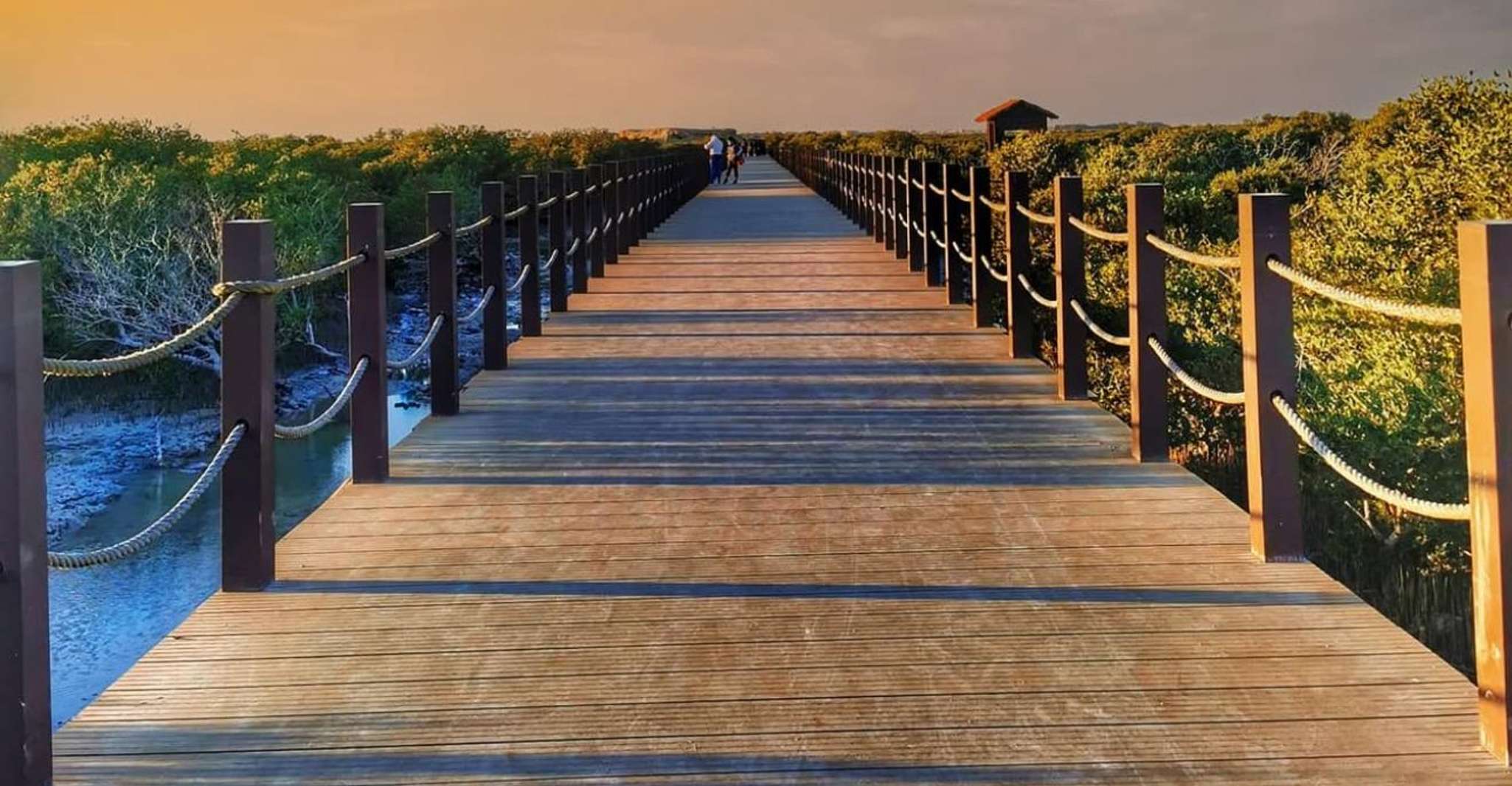 Doha: Zubara UNESCO Site, Mangroves & Jumail Village photo 13