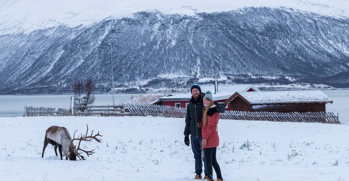 From Tromsø: Small-Group 4x4 Arctic Roadtrip