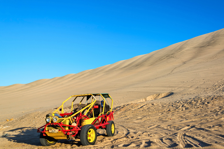 From Lima: Paracas & Huacachina Day Trip with Photo