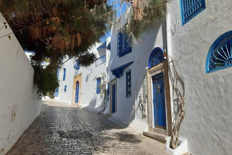 Excursion d&#039;une journée à Tunis Carthage Bardo depuis Hammamet