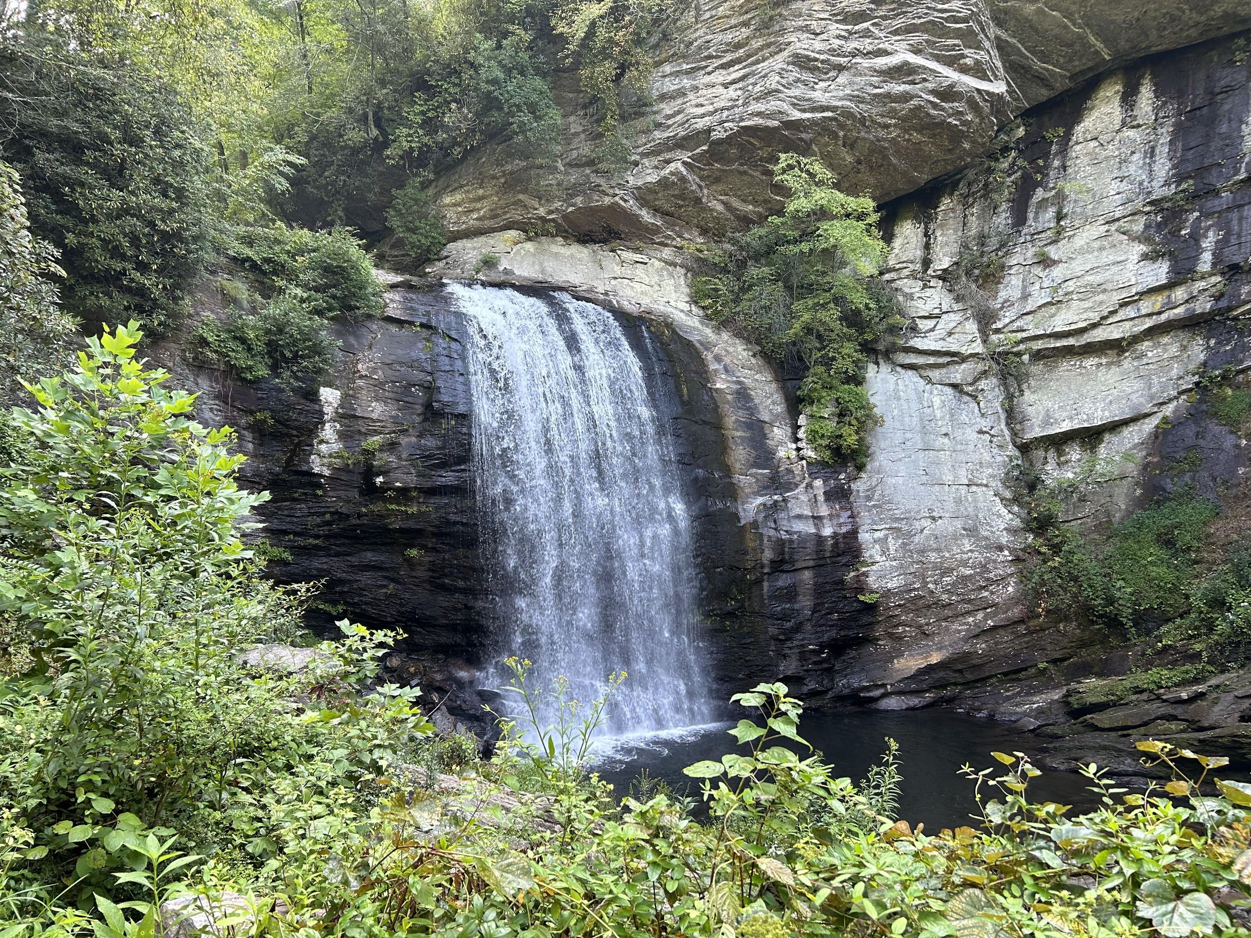 Asheville: Malerische Wandertour zu den Wasserfällen in den Blue Ridge Mountains