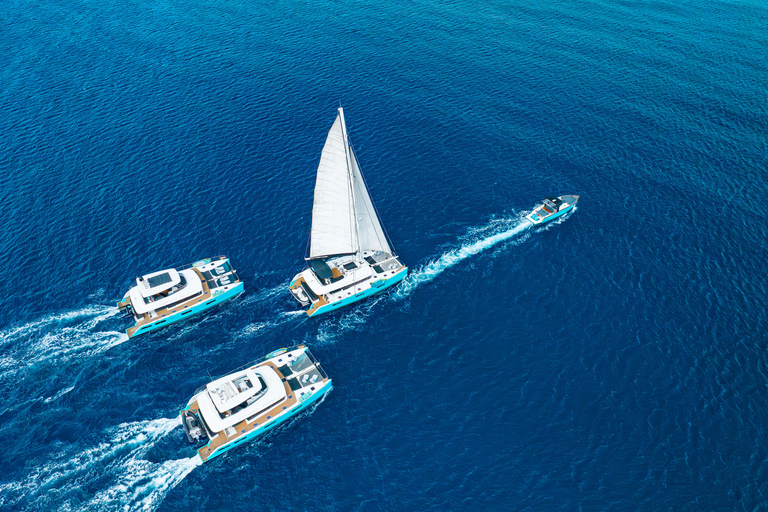 Half-Day Luxury Catamaran Cruise - Turtles, Wreck & Buffet