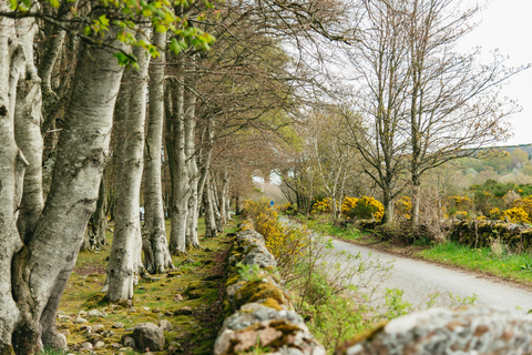 De Edimburgo: Excursão &quot;Outlander&quot; de 2 DiasQuarto Duplo com Banheiro Particular