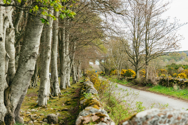 Depuis Édimbourg : excursion à thème Outlander de 2 joursChambre avec lits jumeaux et salle de bain privative