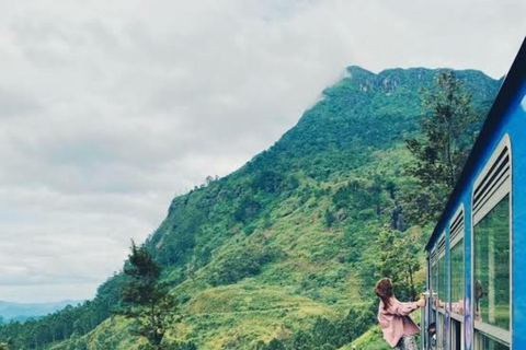 Kandy To Nanuoya Drop Tour & Morning Ella Train Journey Kandy To Nanuoya Drop Tour & Morning Ella Train Journey Car*