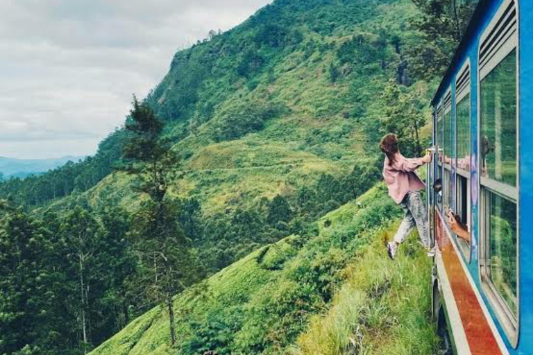 Kandy To Nanuoya Drop Tour & Morning Ella Train Journey Kandy To Nanuoya Drop Tour & Morning Ella Train Journey Car*