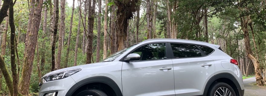 Île Maurice : Visite privée de l'île avec chauffeur/guide