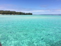Mauritius, Private Island Tour with Chauffeur and Guide - Housity