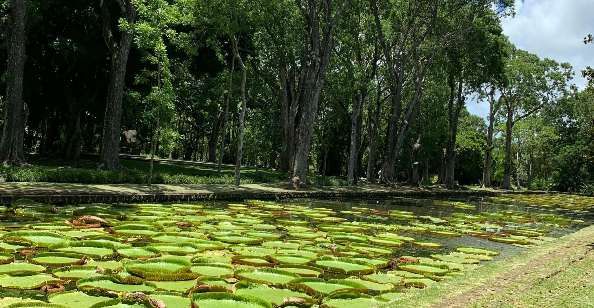 Mauritius, Private Island Tour with Chauffeur and Guide - Housity