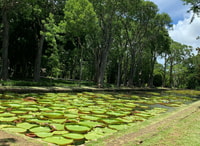 Mauritius, Private Island Tour with Chauffeur and Guide - Housity