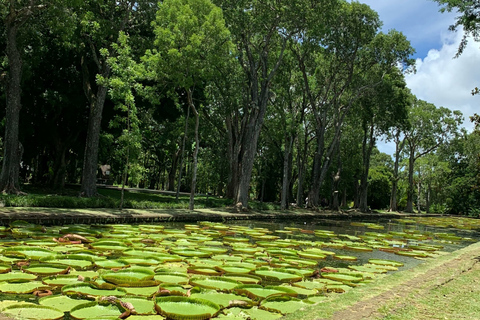 Mauritius: privé-eilandtour met chauffeur en gidsVolledige dagtour