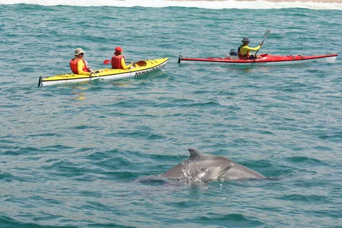 Plettenberg Bay: Guided Sea Kayak Tour