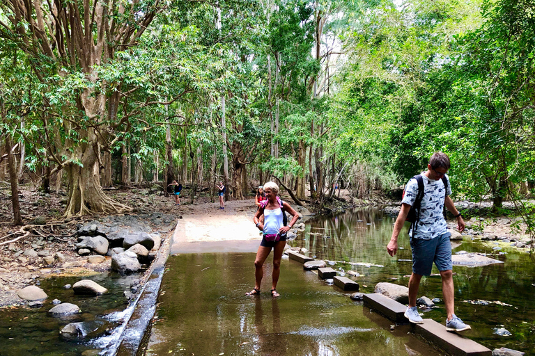 Black River Gorges National Park: Eco Adventure Day Tour