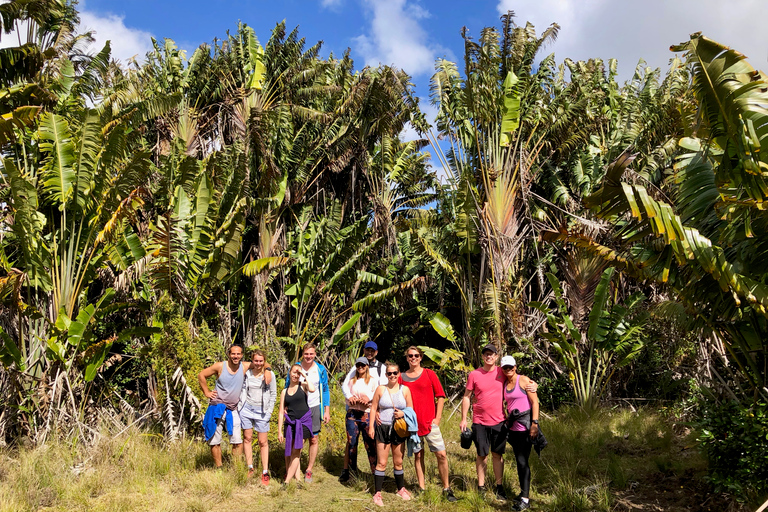 Black River Gorges National Park: Eco Adventure Day Tour