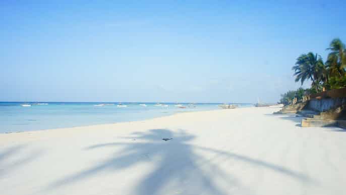 nungwi village tour with lunch and optional sunset cruise