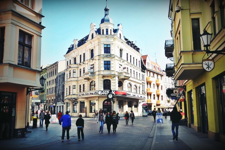 Torun - Ciudad de Copérnico: tour de un día desde Gdansk o PoznanTorun de Gdansk