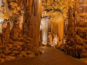 Von Washington DC: Tagesausflug zu den Luray Caverns Von Washington DC: Tagesausflug zu den Luray Caverns