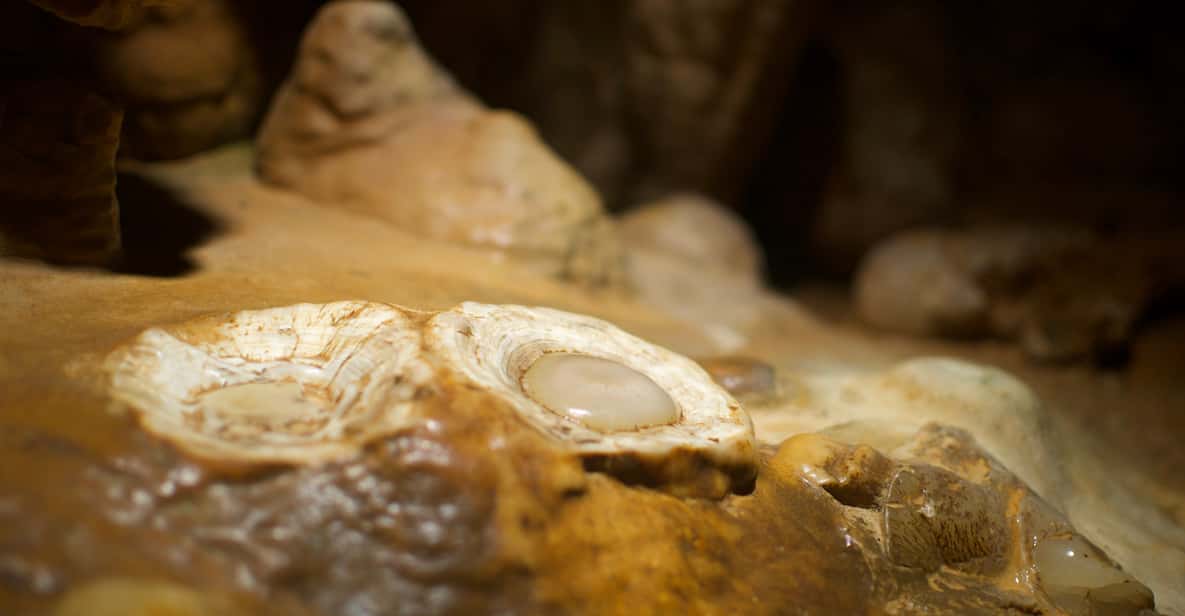 Da Washington DC: gita di un giorno alle caverne di Luray