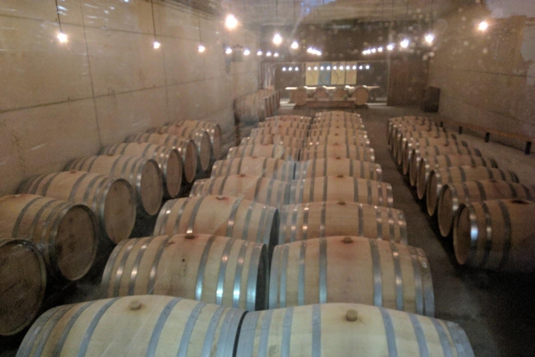 Girona: Local Wineries Tour met ontbijt en wijnproeverij