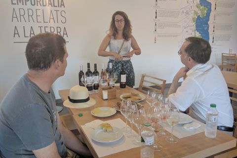 Girona: tour delle cantine locali con colazione e degustazione di vini