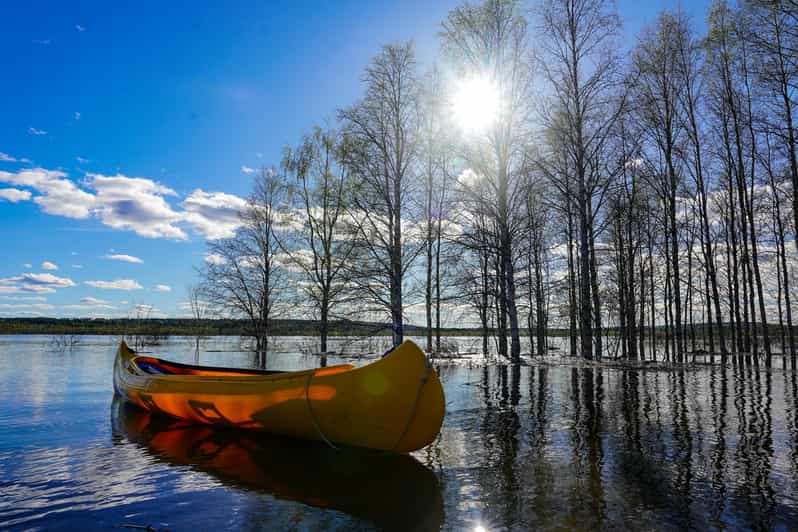 Rovaniemi Ferme authentique de rennes et canoëkayak GetYourGuide